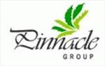 Pinnacle Group 